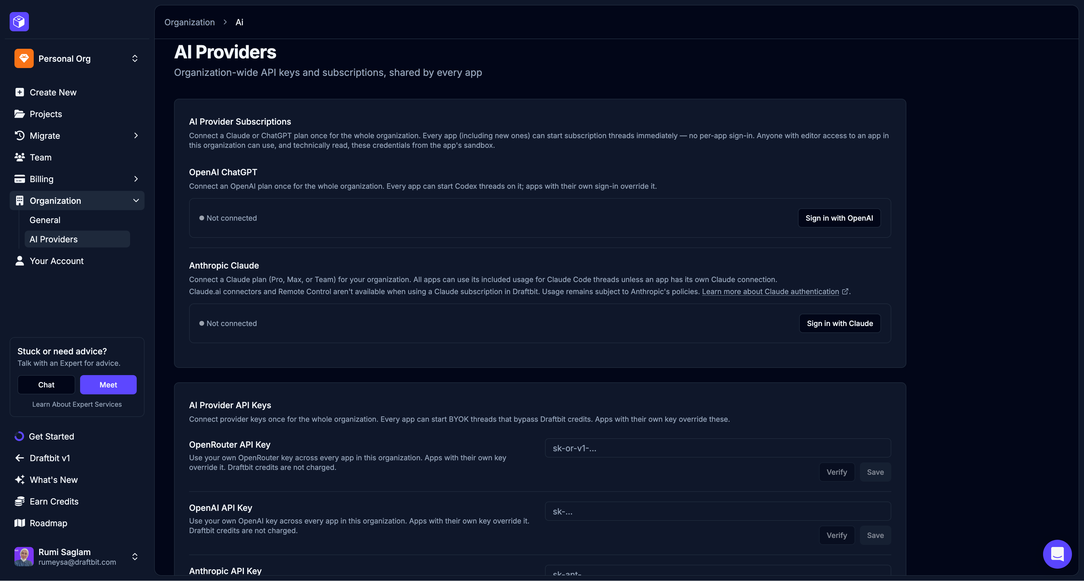 Organization AI Providers settings