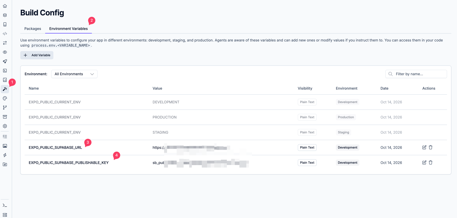 Build Config environment variables
